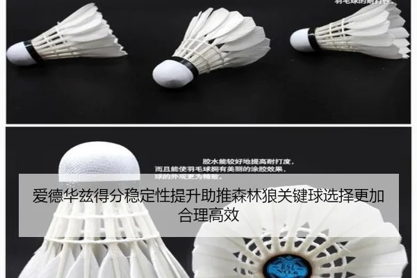 爱德华兹得分稳定性提升助推森林狼关键球选择更加合理高效