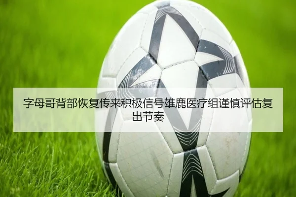 字母哥背部恢复传来积极信号雄鹿医疗组谨慎评估复出节奏